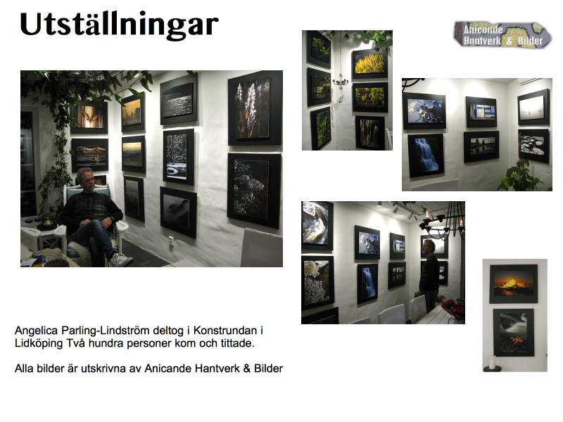 Utställning Angelica Parling-Lindström